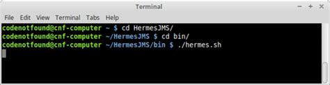 hermes jms does not start.